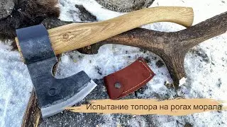 Испытание кованого топора от "Сибирского Булата"и стойкости режущей кромки при рубке рога марала.