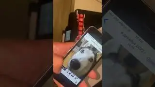 Принтер hp5525 20.03.23