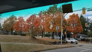 BEAUTIFUL FALL COLORS IN BRITISH COLOMBIA