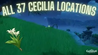 Cecilia Farming Route - Genshin Impact Guide