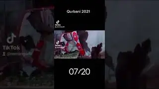 Qurbani ka Hawale sa short bayan