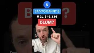За что БАНЯТ в Blum? 