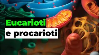 Cellula eucariote e procariote: somiglianze e differenze