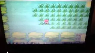 Epic fail #2 ....... 2nd shiny parasect fail :(