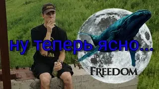 Интрига раскрыта. То, что от вас скрывали...