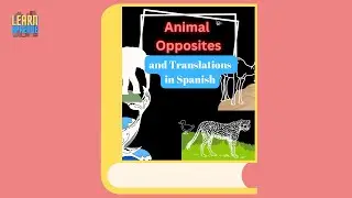 Learn Spanish for kids - Animal Opposites and Translations - Follow Along Read