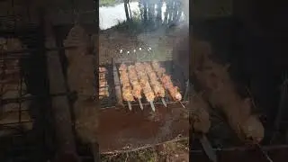 Подарил ей все шашлыки🤤#shorts#природа#шашлык#подарок#вкусно#food#streetfood#еда#вкусно#мангал