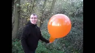 Belbal 24 inch orange balloon blow to pop btp b2p bb24 b250