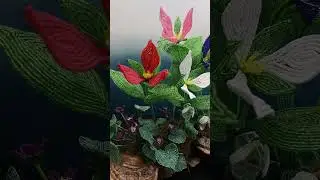 French beaded trillium, snow drops, and wood violets woodland forest floor