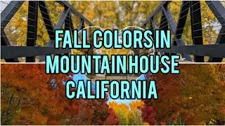 Fall colors in Mountain House CA @FUNZONEofANTO
