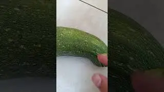 сердце ❤️