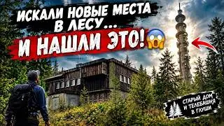 WERE LOOKING FOR NEW PLACES IN THE FOREST... AND FOUND THIS!