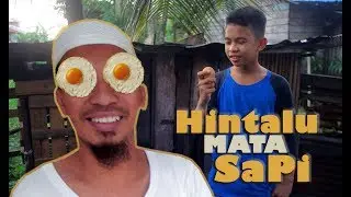 Hintalu MATA Sapi