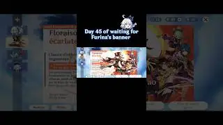 Day 45 of waiting for Furina's banner 