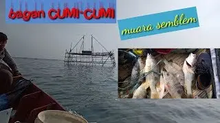 mancing di Bagan cumi muara semble,muara gembong dapet ikan jenaha satu ekornya 1 kilo...
