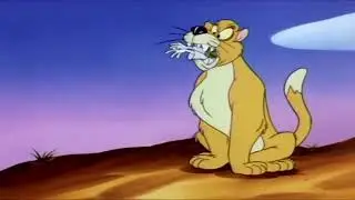 Lion eats person (A E73)