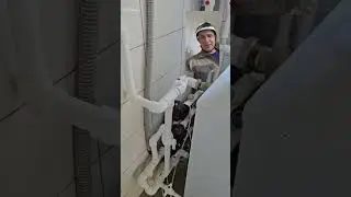 Как построить дом? #дом #shortvideo #стройка  #строительство #стройкадома #short #shorts #строимдом