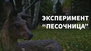 Эксперимент с песочницей. Тестируем защитный чехол