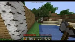 Играем в майнсруфт #1
