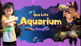 Sea Life Bangkok : Lele Vlog EP:03