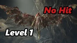 Malenia, Blade of Miquella - RL1 No Hit (w/ waterfowl this time) - Elden Ring