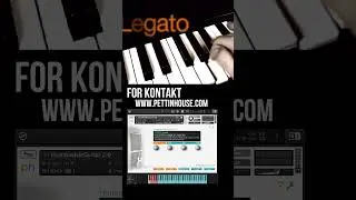 You Won’t Believe This Rock Guitar Is a Kontakt Library! by Pettinhouse.com  