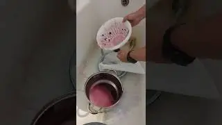 делаем вино в домашних условиях