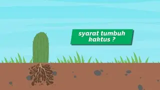 Kaktus Part 4 - Bagaimana syarat tumbuh kaktus? (#kaktus & #sekulen #sukulen)