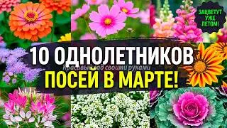 НЕ ПОСЕЕШЬ В МАРТЕ — БУДЕШЬ ЖДАТЬ ЦВЕТОВ ДО ОСЕНИ!