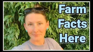 🌾 Farm Facts 'round Here! 🌾
