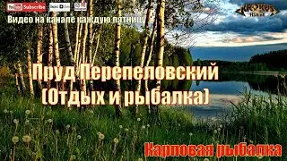Пруд Перепеловский 2021 (Отдых и рыбалка)
