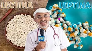 Diferencia entre lectina y leptina