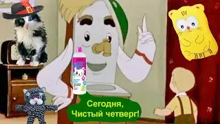 Котики тоже умываются в чистый четверг!