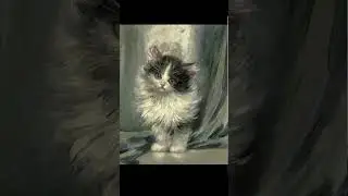 милый кудряшка