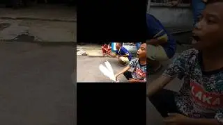 LOMBA MERPATI BOCIL DEPAN GANG