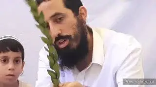 איך קושרים את ארבעת המינים?
