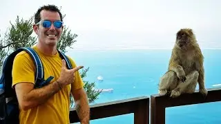Spot The Monkey! On Top of the WORLD in Gibraltar | Sailing Vlog 77 | Sailing Ruby Rose