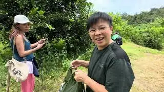 小文河馬上身  考察團團友明搶 真的搞檸錯