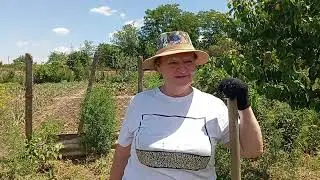 Вот, лёд тронулся