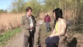 Таракан, (Анекдот - задание, 1 сезон)