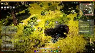 Black Desert Online OBT Korean: Таймер 50 lvl гринд