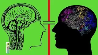 7 Psychological Facts That Will Blow Your Mind!