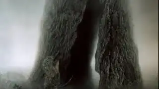 Ежик в тумане