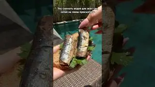 Sprats recipe homemade sprats beef sprats sprats