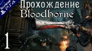 Прохождение Bloodborne: Порождение крови [#1] PS4 [1080p]