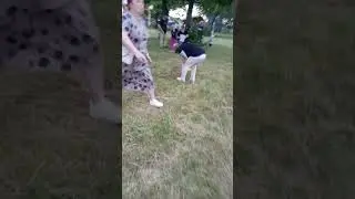 Яйцо в ложке.