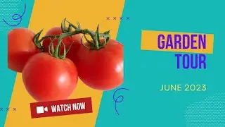 June 2023 GARDEN TOUR 🌻 Zone 8A #garden #raisedbedgardening #homesteading