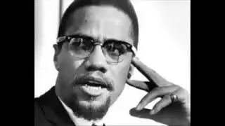 Malcolm X: The House Negro and the Field Negro - A Profound Analysis of Racial Identity