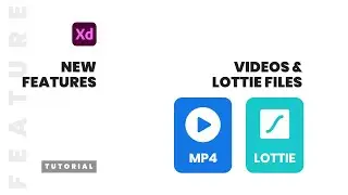 Add Video and Lottie Files in Adobe XD - New Features - Tutorial