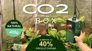 Como se usa CO2 Box